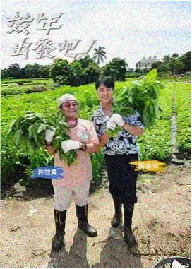 八哥电影热播综艺周末不打烊
